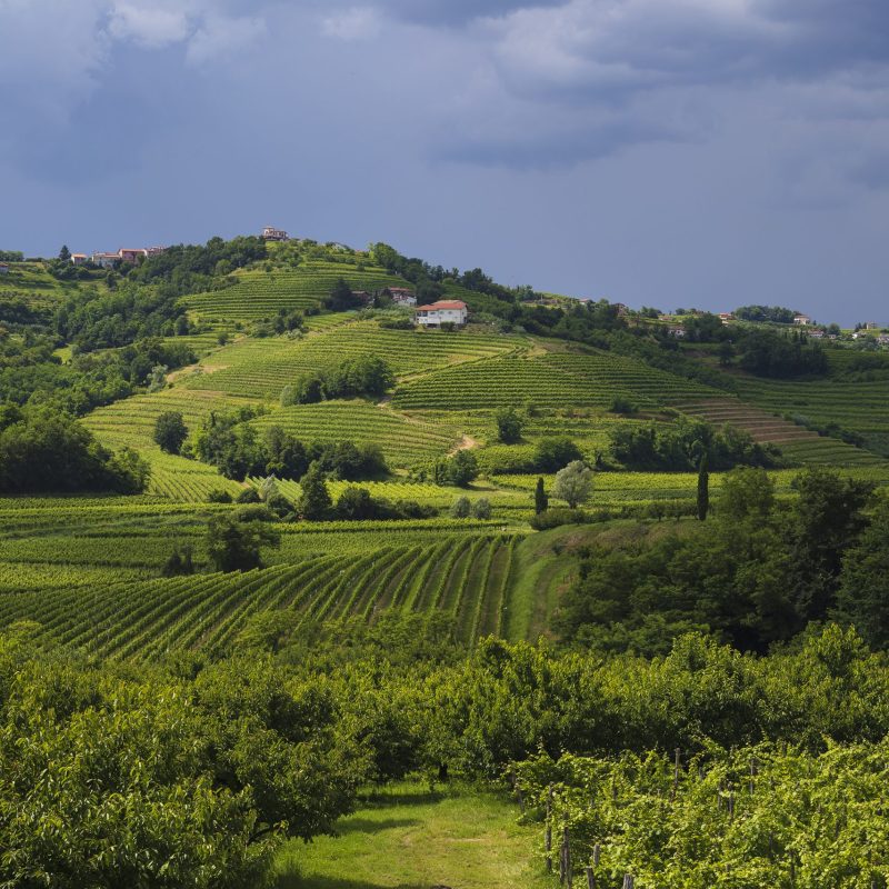 _2024_06_16_15_46_01_D7A5289_Foto_Jure_Batagelj